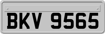 BKV9565