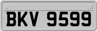 BKV9599
