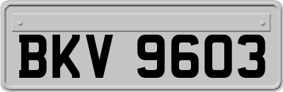 BKV9603