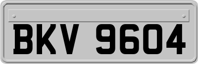 BKV9604