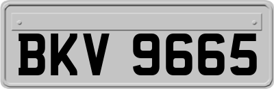 BKV9665
