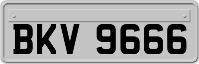 BKV9666
