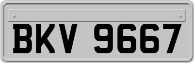 BKV9667