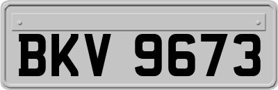 BKV9673