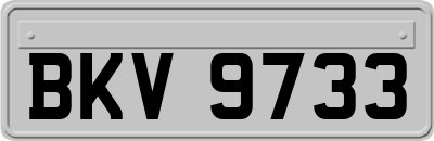 BKV9733