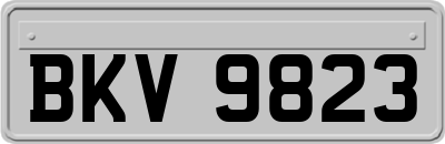 BKV9823