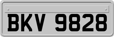 BKV9828
