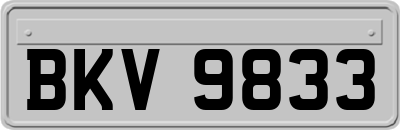 BKV9833