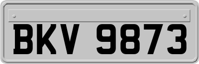 BKV9873