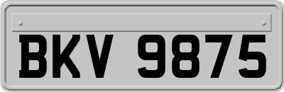 BKV9875
