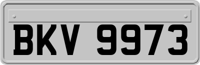 BKV9973