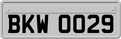 BKW0029