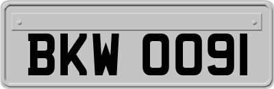 BKW0091