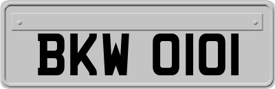 BKW0101
