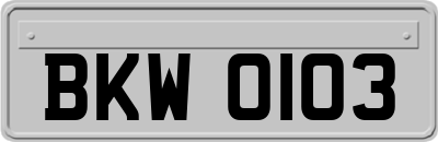BKW0103