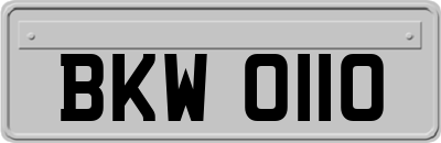 BKW0110