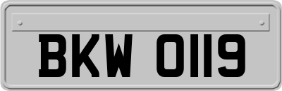 BKW0119