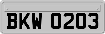 BKW0203