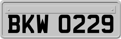 BKW0229