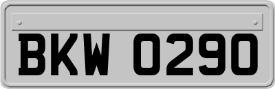 BKW0290