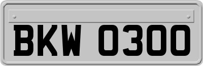 BKW0300