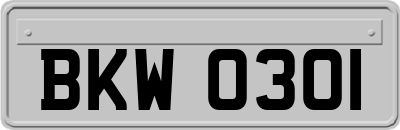 BKW0301