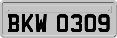 BKW0309