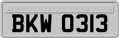 BKW0313