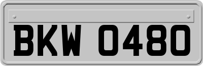 BKW0480