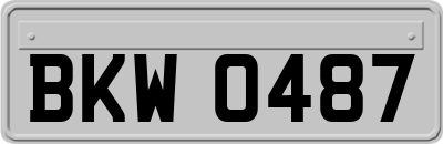 BKW0487