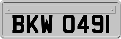 BKW0491