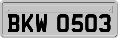 BKW0503