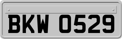 BKW0529
