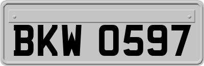 BKW0597