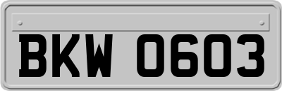 BKW0603