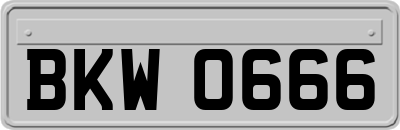BKW0666