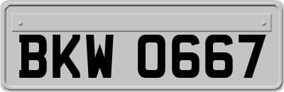 BKW0667
