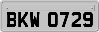 BKW0729