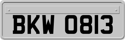 BKW0813