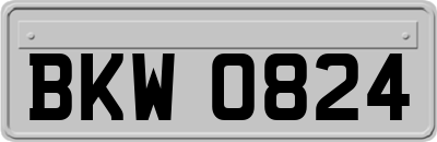 BKW0824