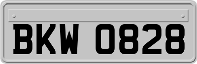 BKW0828