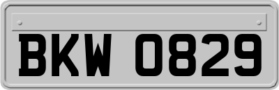 BKW0829