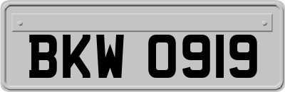 BKW0919