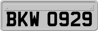 BKW0929