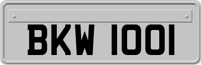 BKW1001