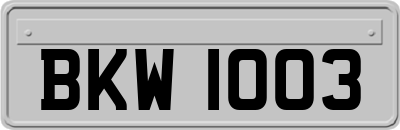 BKW1003