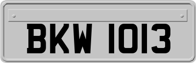 BKW1013
