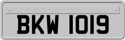 BKW1019