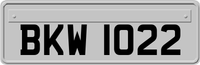 BKW1022