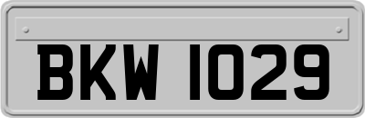 BKW1029
